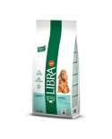 Affinity Libra Adult Light