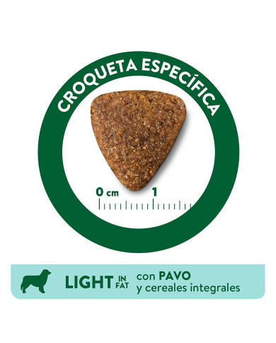 Affinity Libra Adult Light