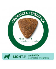 Affinity Libra Adult Light