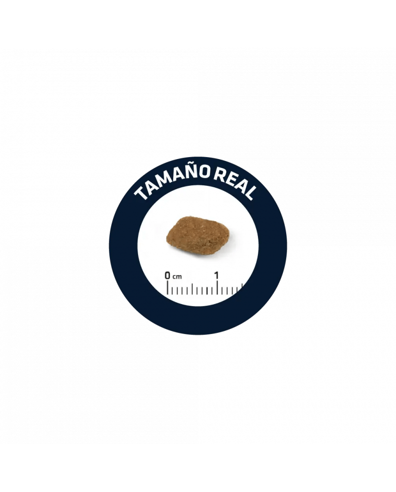 Affinity Advance Medium Senior