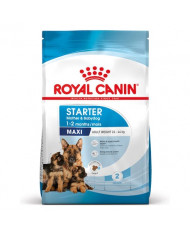 Royal Canin Maxi Starter