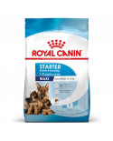 Royal Canin Maxi Starter