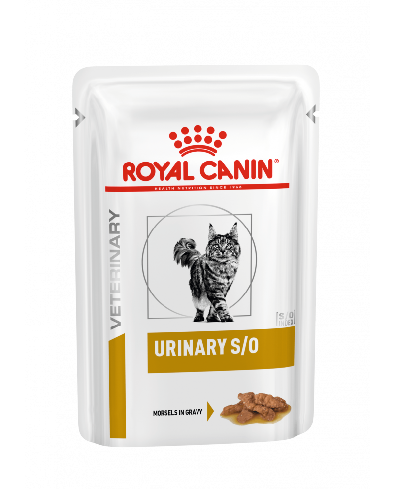 Royal Canin Feline Urinary S/O Gravy