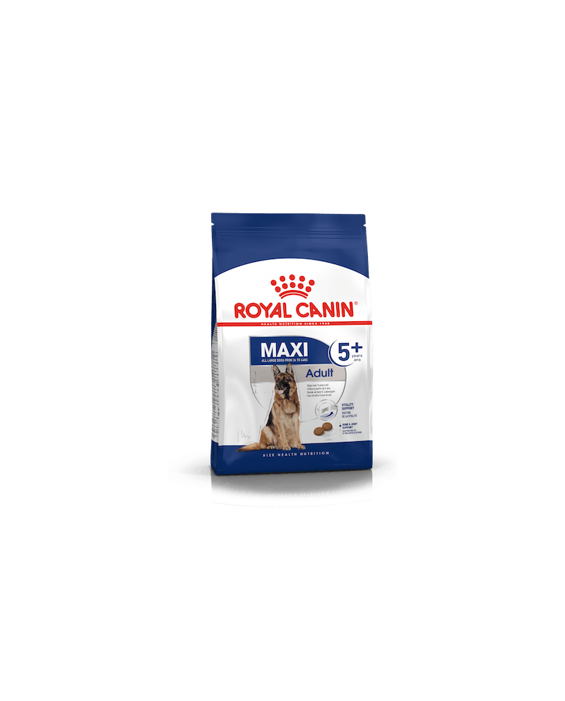 Royal Canin Maxi Adult 5