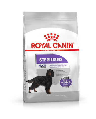 Royal Canin Maxi Sterilised