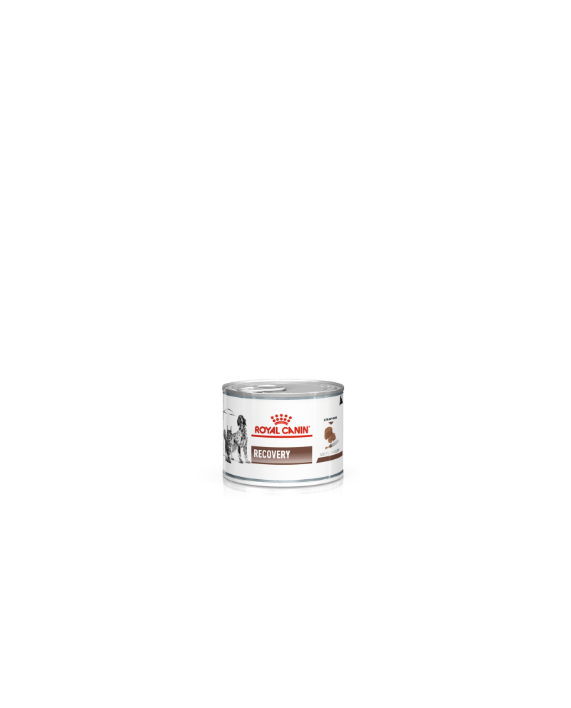 Royal Canin Latas Recovery