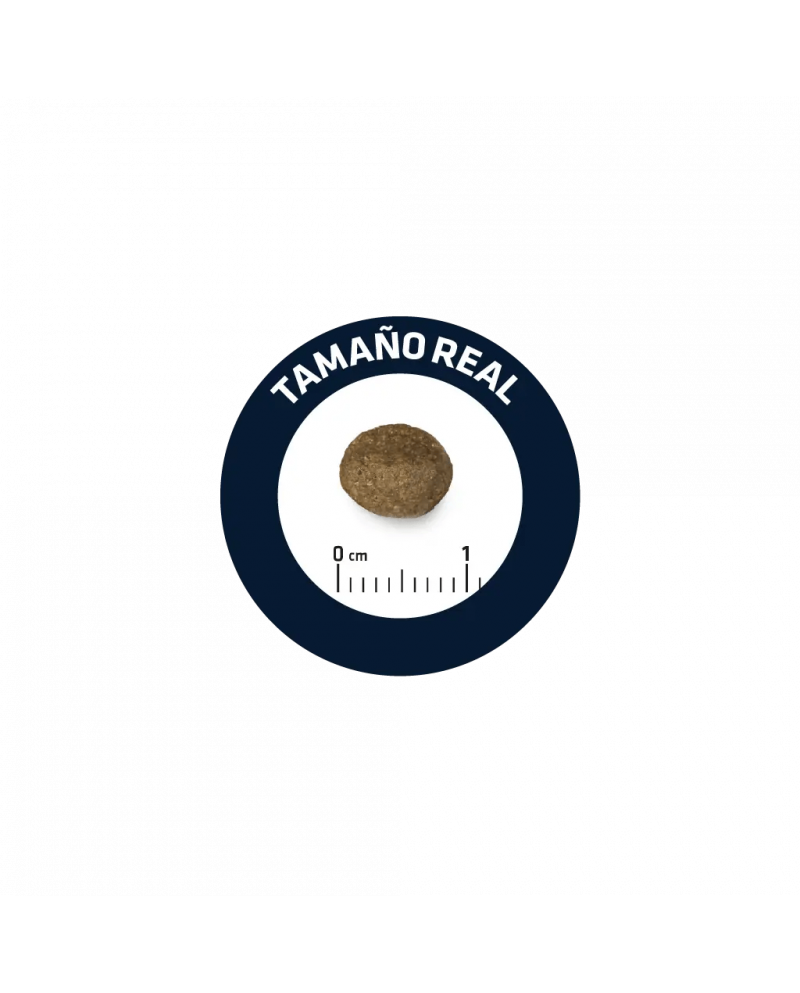 Affinity Advance Mini Sensitive Salmon