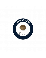 Affinity Advance Mini Sensitive Salmon