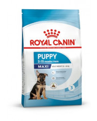 Royal Canin Maxi Puppy
