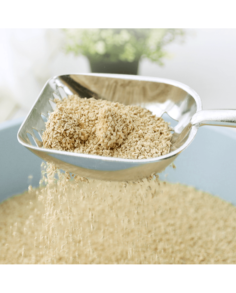 Pala Recogedor para lecho acero inoxidable Pala Recogedor para lecho acero inoxidable