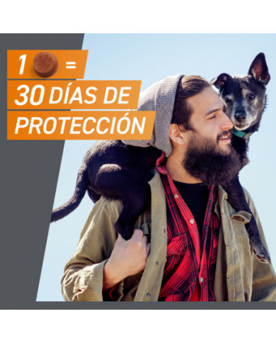 Frontpro Comprimidos Masticables Antiparasitarios Perros Frontpro Comprimidos Masticables Antiparasitarios Perros
