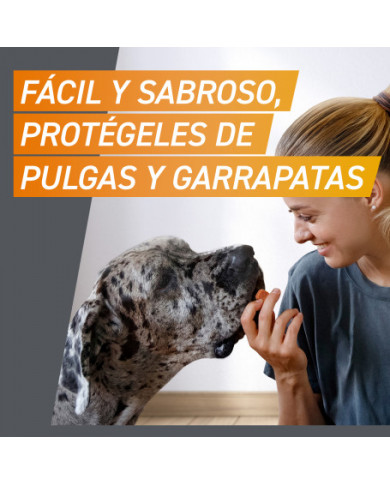 Frontpro Comprimidos Masticables Antiparasitarios Perros