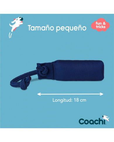 Coachi Training Dummy