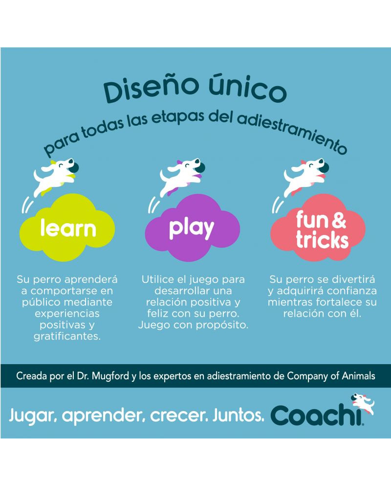 Coachi Training Dummy