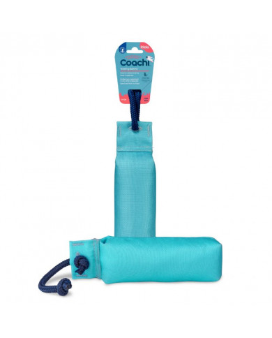 Coachi Training Dummy