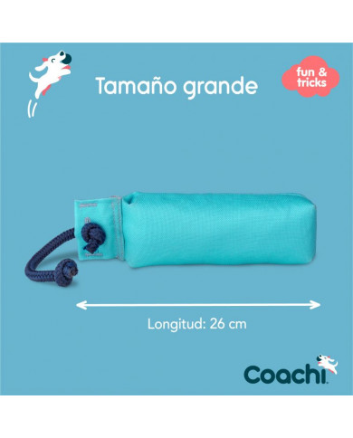 Coachi Training Dummy