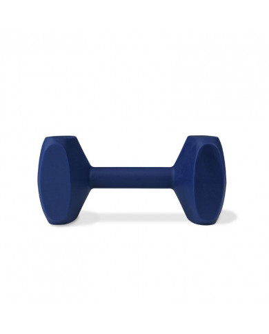 Apport Coachi Training Dumbbell Apport Coachi Training Dumbbell