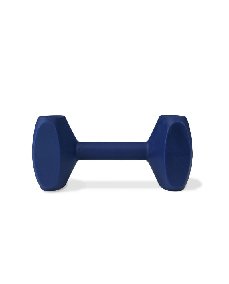 Apport Coachi Training Dumbbell