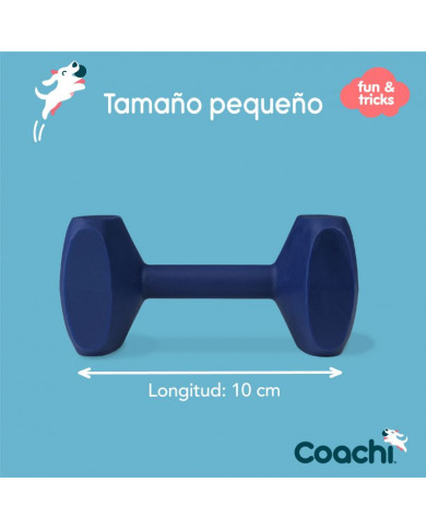 Apport Coachi Training Dumbbell Apport Coachi Training Dumbbell