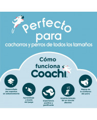 Apport Coachi Training Dumbbell