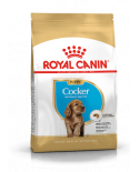 Royal Canin Cocker Junior