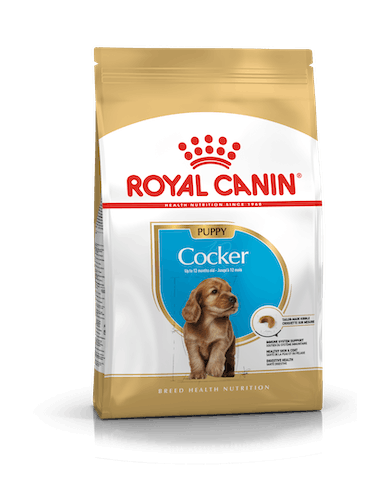 Royal Canin Cocker Junior Royal Canin Cocker Junior