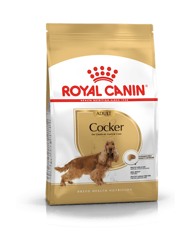Royal Canin Cocker Adult Royal Canin Cocker Adult