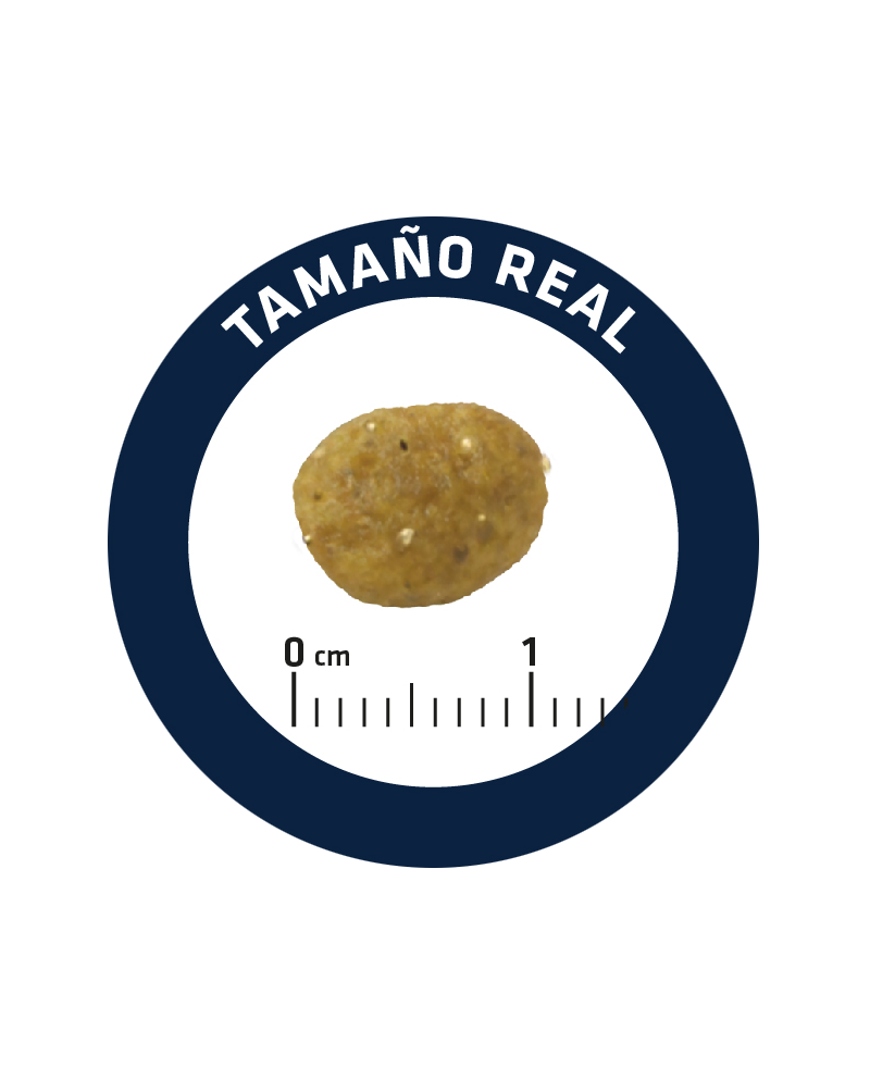 Advance veterinary Gastroenteric Feline Advance veterinary Gastroenteric Feline