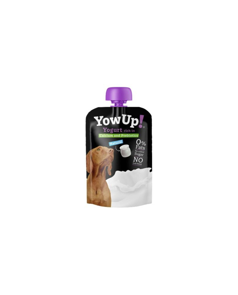 Yogurt YowUp Natural 115gr