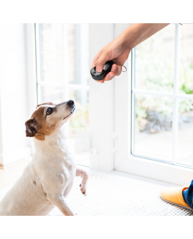 Clicker-perro-cuatro-tonos