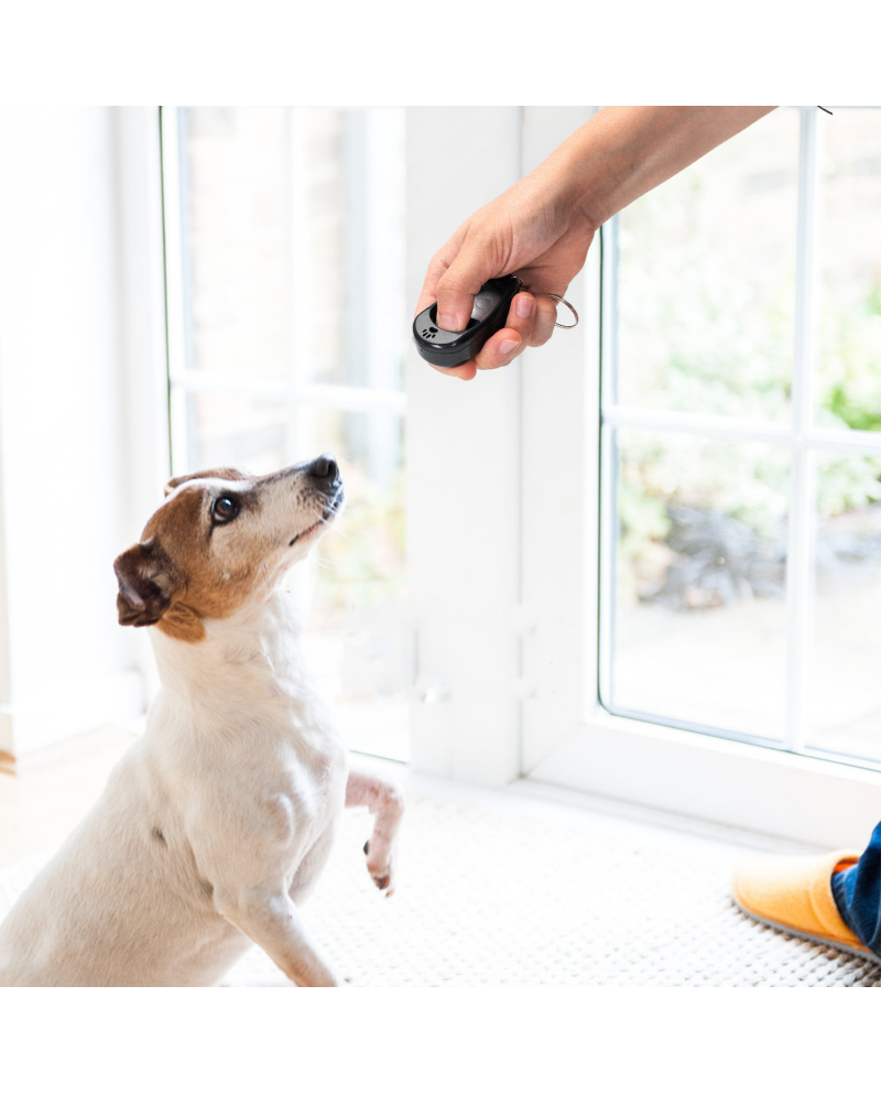 Clicker cuatro tonos