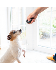 Clicker cuatro tonos