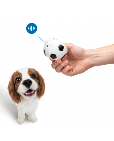 Pelota Futbol Pelota Futbol