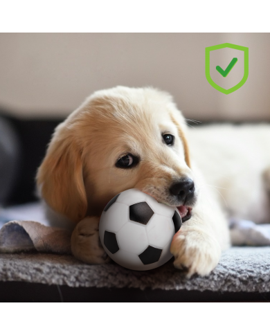 Pelota Futbol Pelota Futbol
