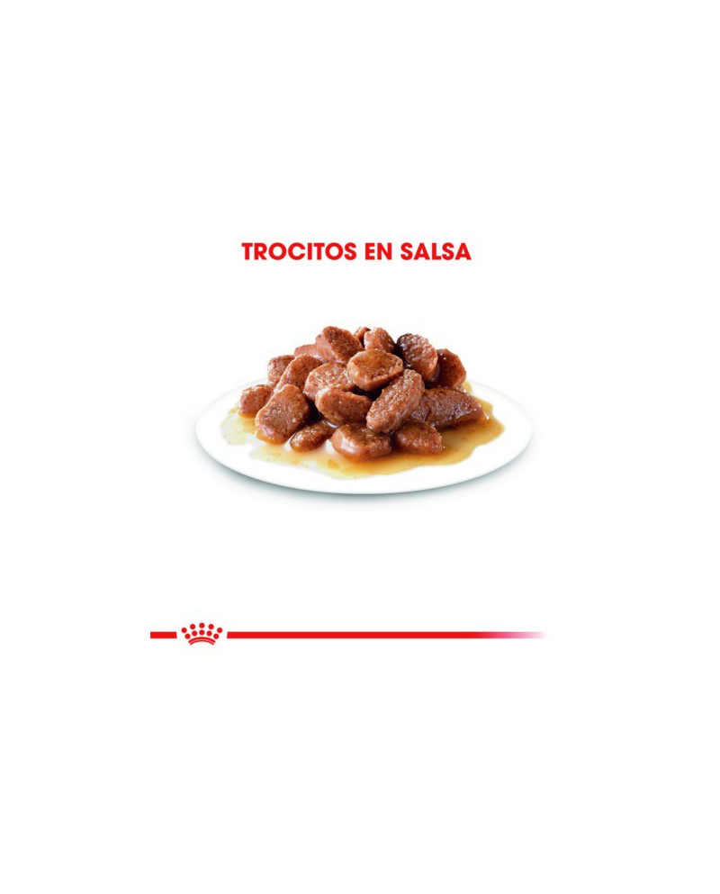 Royal Canin Light Bocaditos Salsa