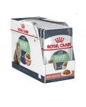 Royal Canin Cat Digestive Care Caja 12x85gr
