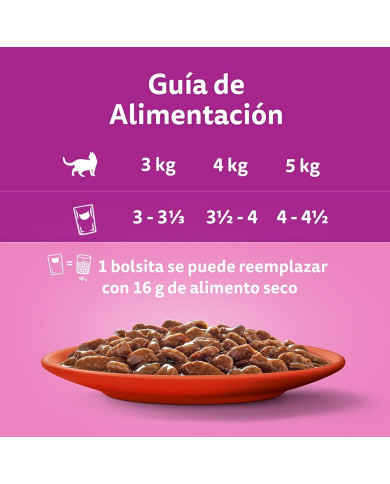 Whiskas Pack Seleccion Buey