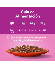 Whiskas Pack Seleccion Buey