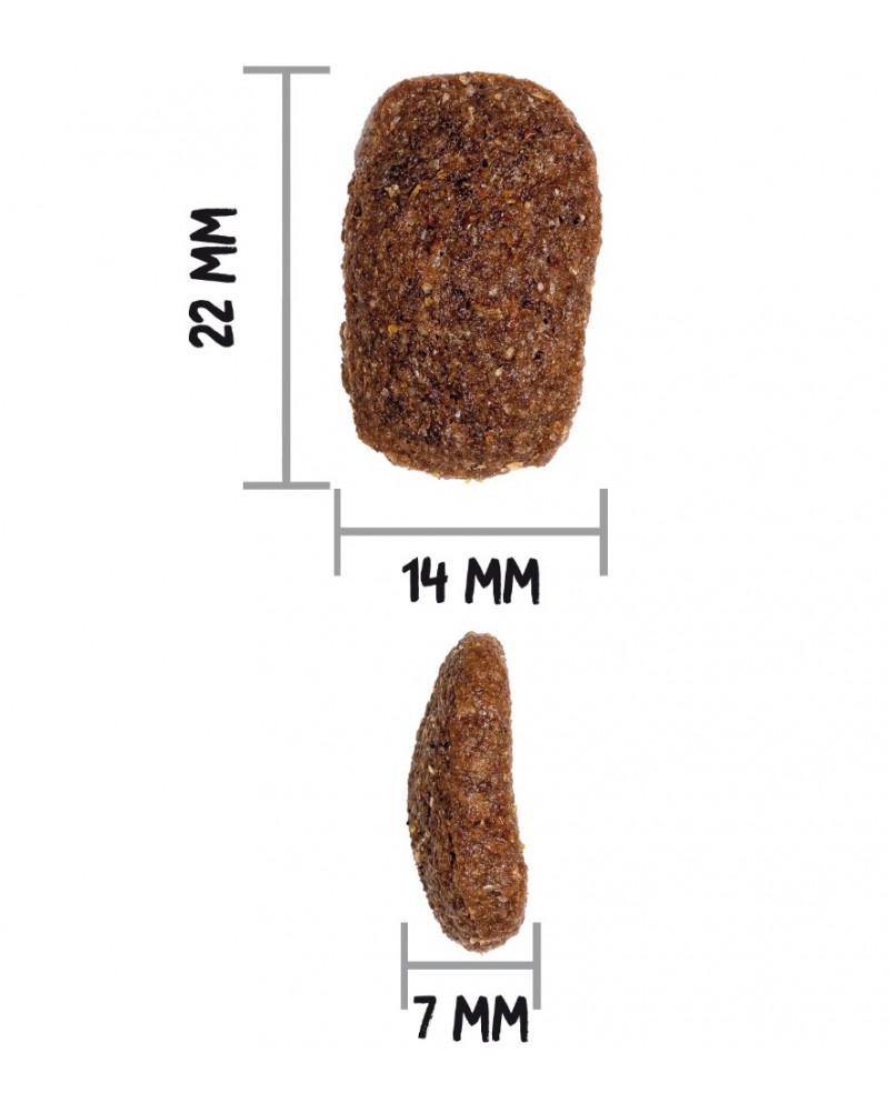 Ownat Classic Complet Tamaño