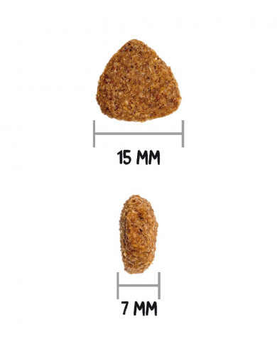 Ownat Classic Light Tamaño