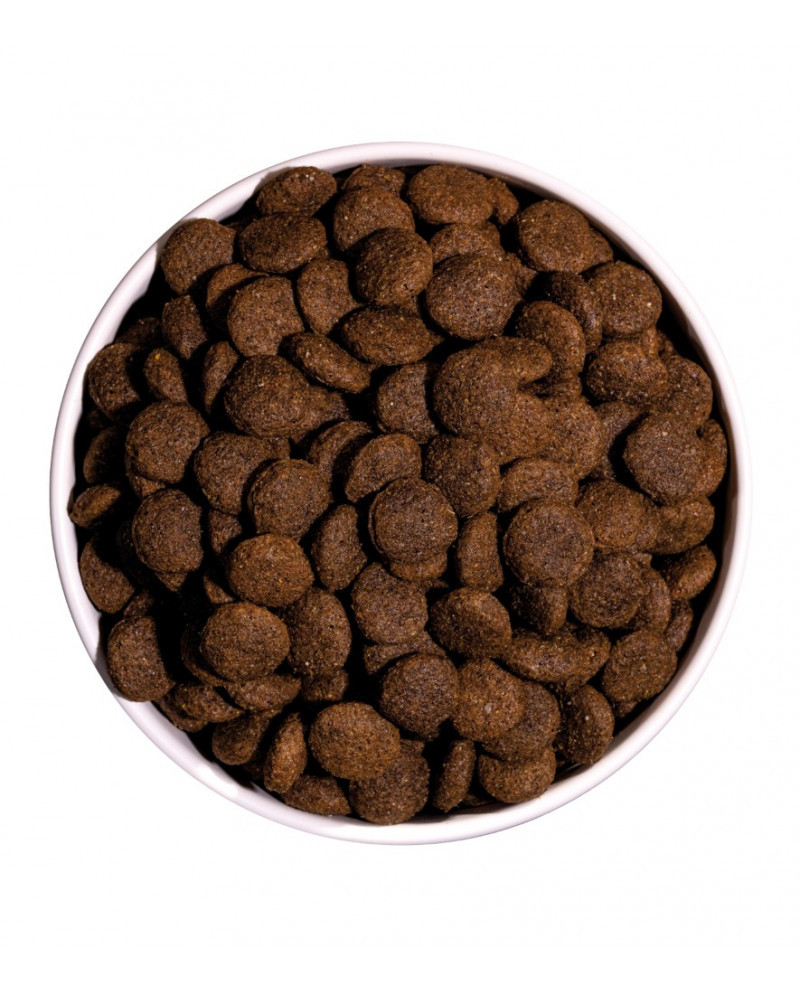 Ownat Classic Pato Pienso