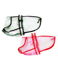 Impermeable Transparente