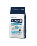 Advance Mini Puppy Advance Mini Puppy