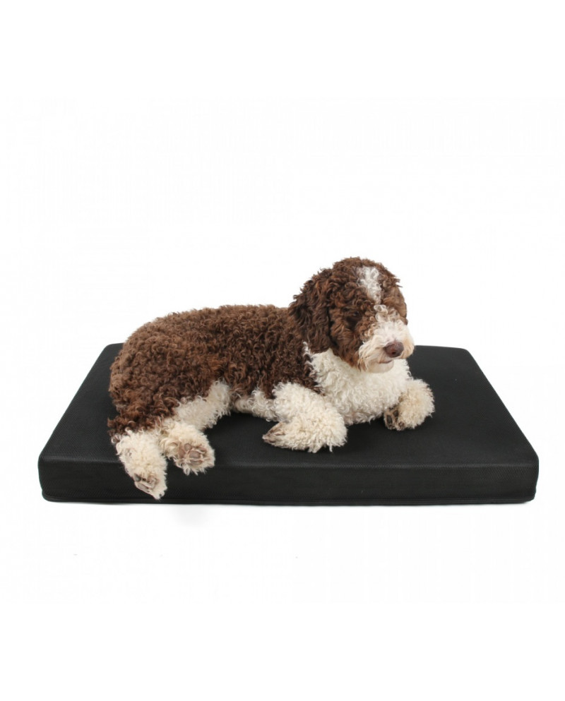 Colchon Dark Desenfundable