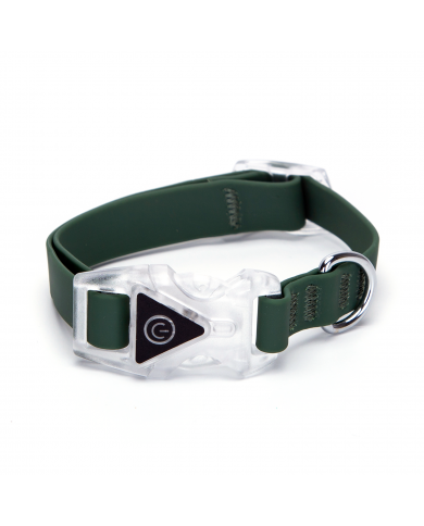 Collar led goma verde
