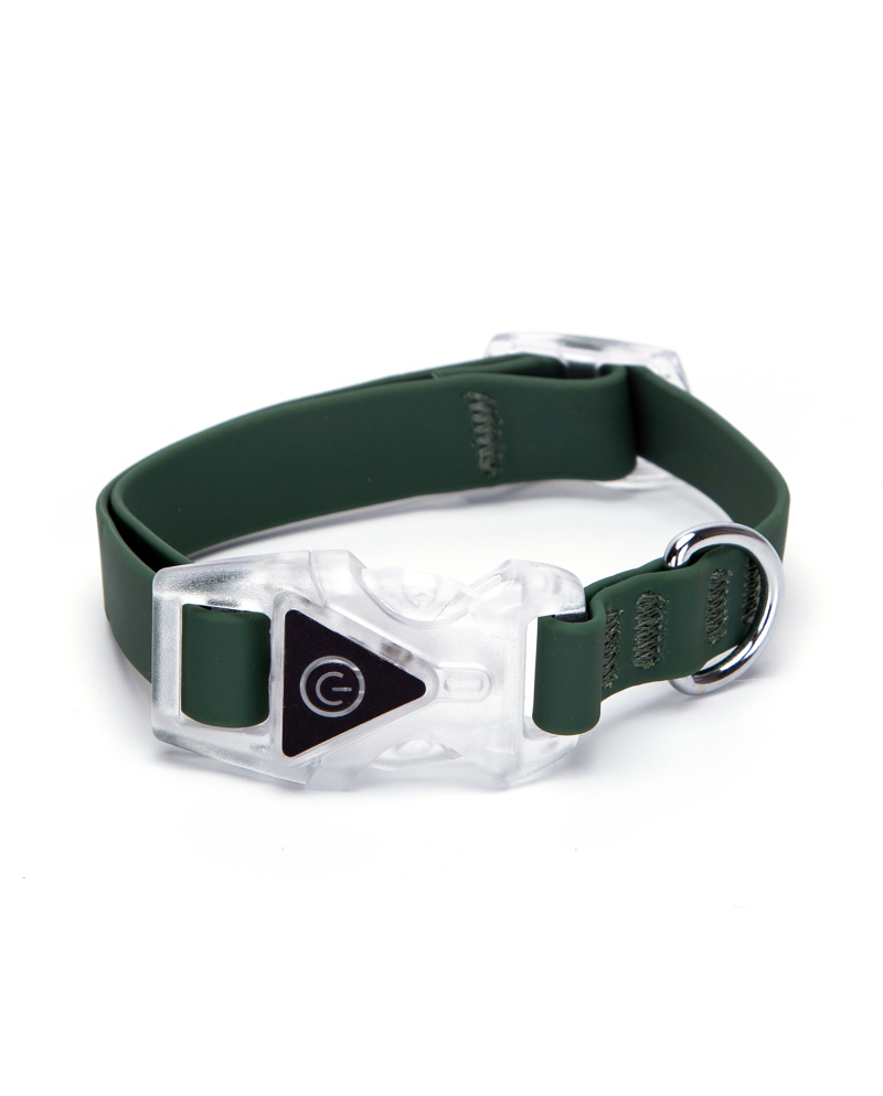 Collar led goma verde
