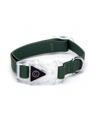 Collar led goma verde