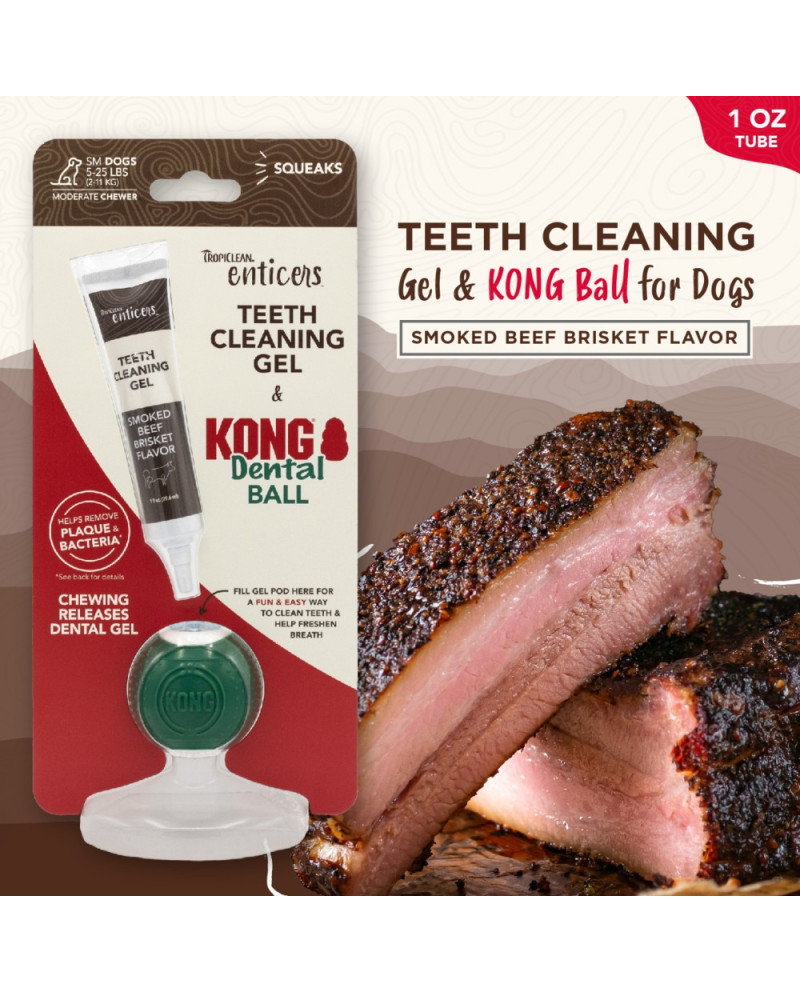 Kong Dental Ball Kit