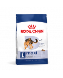 royal canin maxi adulto