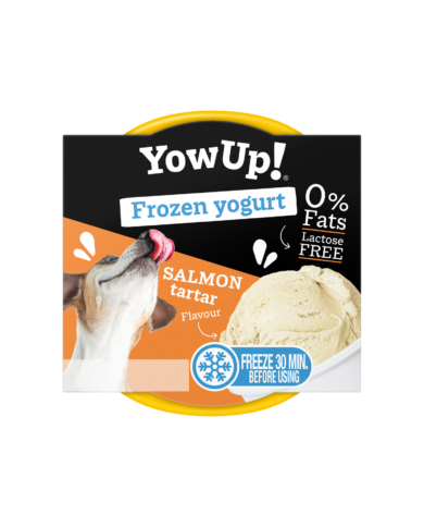 Yowup Helado Yogurt Salmón Tartar 110gr Yowup Helado Yogurt Salmón Tartar 110gr